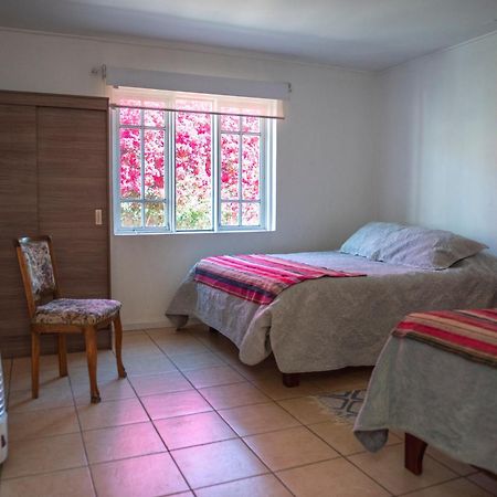 Hostal Casa 95 Викунья Экстерьер фото